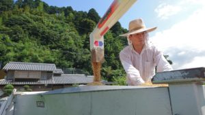 稲刈りを行ないました