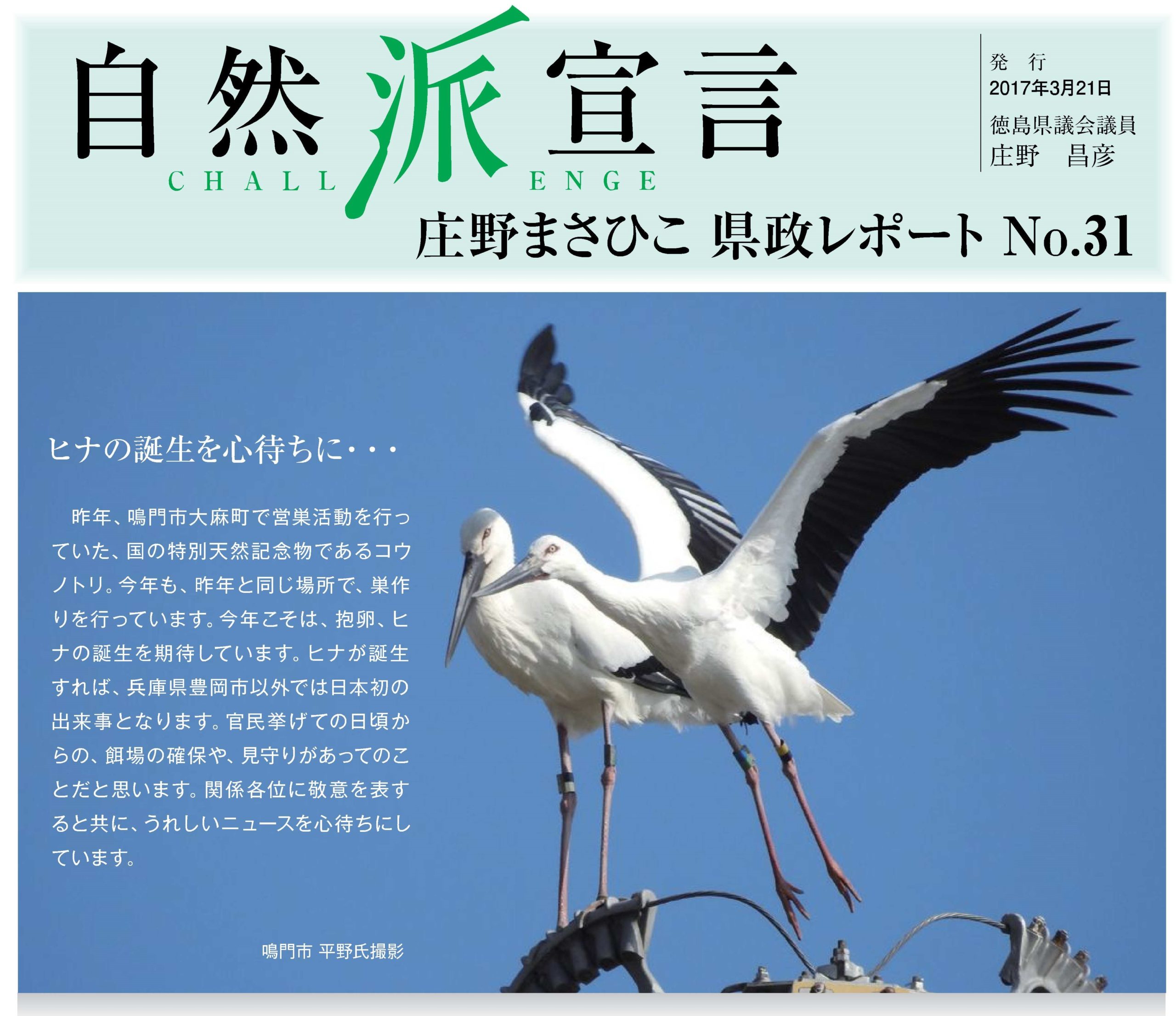 庄野まさひこ県政レポート No.31（2016年）